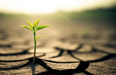 Illustration initiating