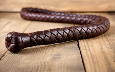 Illustration cowhide - Image 1