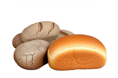 Illustration stales - Image 1