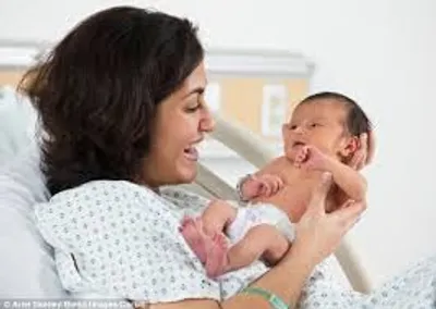 Illustration bear - Image 3