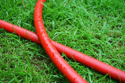 Illustration line - Image 1