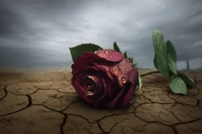 Illustration deplorable - Image 1