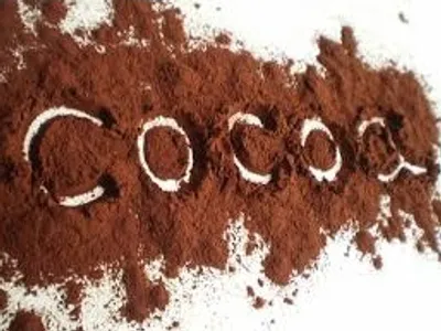 Illustration cocoa - Image 2