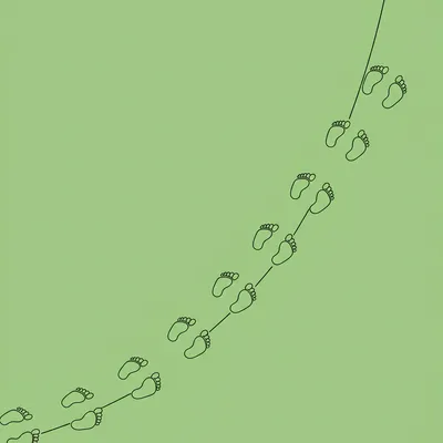 Illustration tracking - Image 1