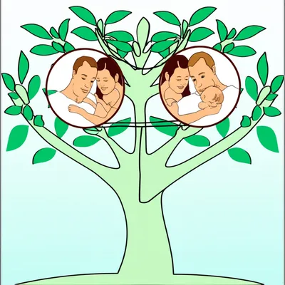 Illustration affiliation - Image 1