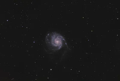 Illustration swirling - Image 2