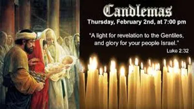 Illustration presentation - Image 4