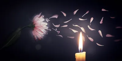 Illustration dying - Image 1