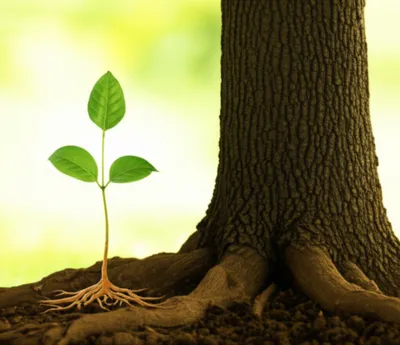 Illustration maternity