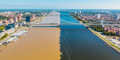 Illustration mergers - Image 1