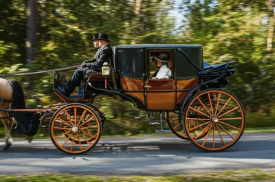 Illustration tooled - Image 1