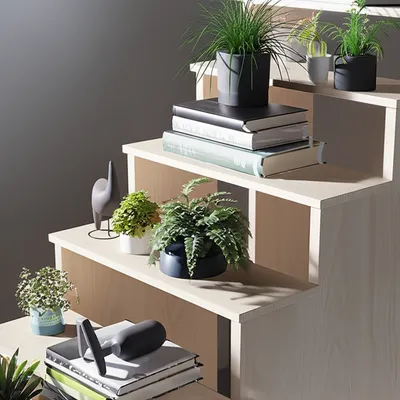 Illustration risers - Image 1