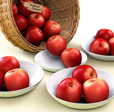 Illustration into - Image 1