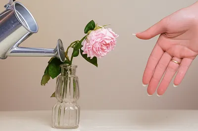 Illustration disappoints - Image 1