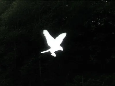 Illustration intimation - Image 1