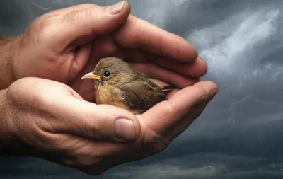 Illustration caution - Image 1