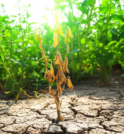 Illustration abs - Image 1