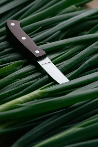 Illustration chives - Image 1