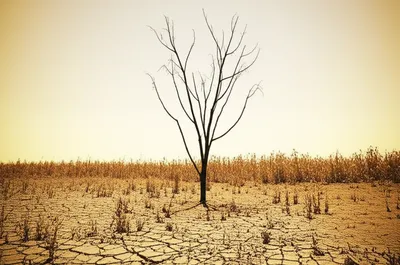 Illustration blasts - Image 1