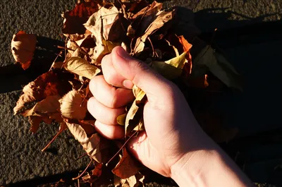 Illustration crunching