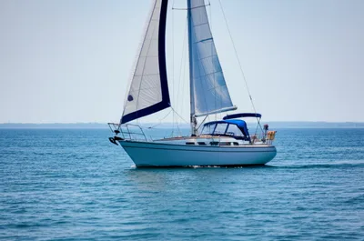 Illustration leg - Image 1