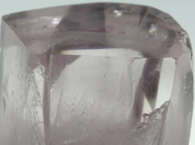 Illustration cleavage - Image 1