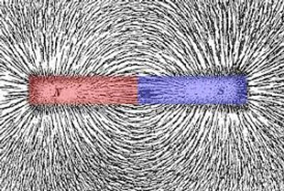 Illustration polar - Image 4