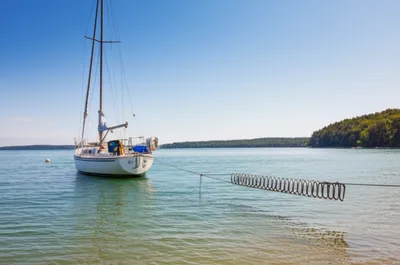 Illustration spring - Image 1