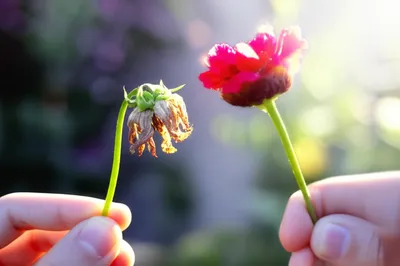 Illustration freshened - Image 1