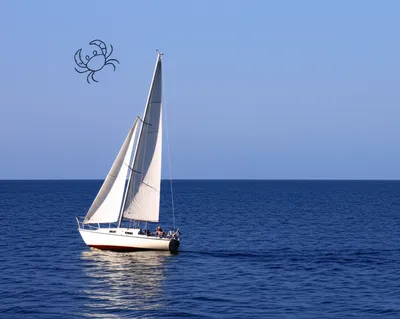 Illustration crabs - Image 1