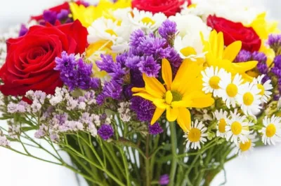 Illustration bouquets