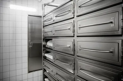 Illustration cooler - Image 1