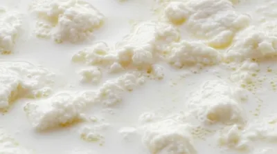 Illustration curds - Image 1