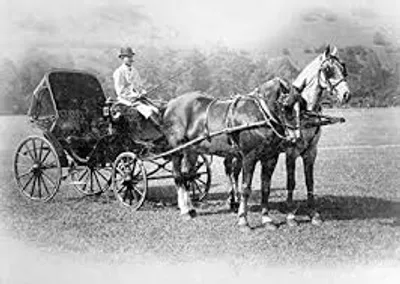 Illustration teamster - Image 2