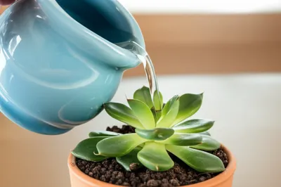 Illustration suffices - Image 1