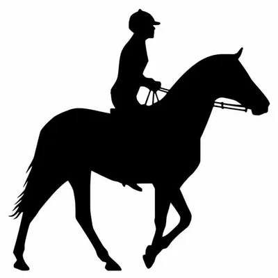 Illustration ride - Image 1