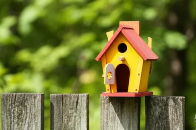 Illustration doors - Image 1