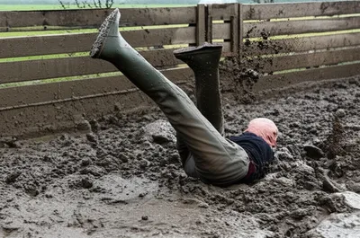 Illustration bogs - Image 1