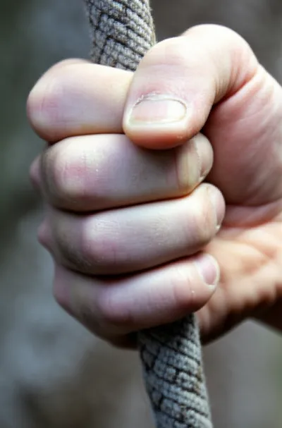 Illustration bitten - Image 1