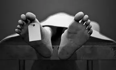 Illustration mortality - Image 2