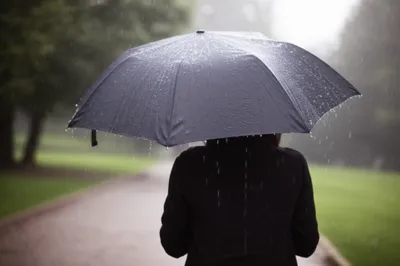 Illustration mizzle - Image 1