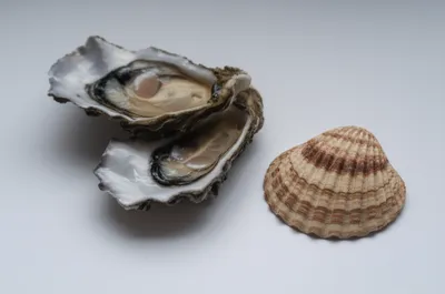 Illustration valve - Image 1