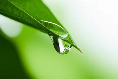 Illustration moisture