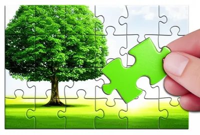 Illustration surrogate - Image 1