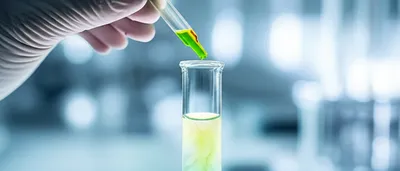 Illustration labels - Image 1