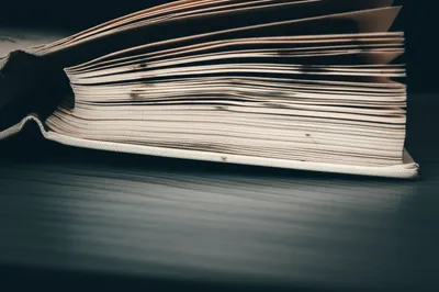 Illustration spill - Image 1