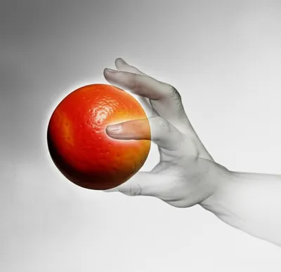 Illustration inessential - Image 1