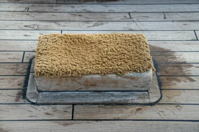 Illustration bear - Image 1