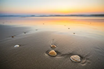 Illustration tide - Image 1