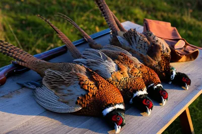 Illustration bag - Image 1